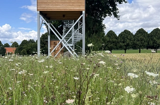 Ist weithin sichtbar: der Beobachtungsturm der Stiftung für Ornithologie und Naturschutz in Markendorf.