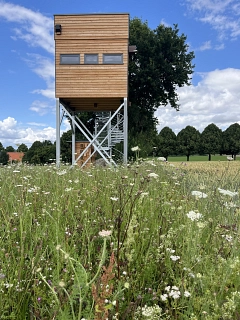 Ist weithin sichtbar: der Beobachtungsturm der Stiftung für Ornithologie und Naturschutz in Markendorf.