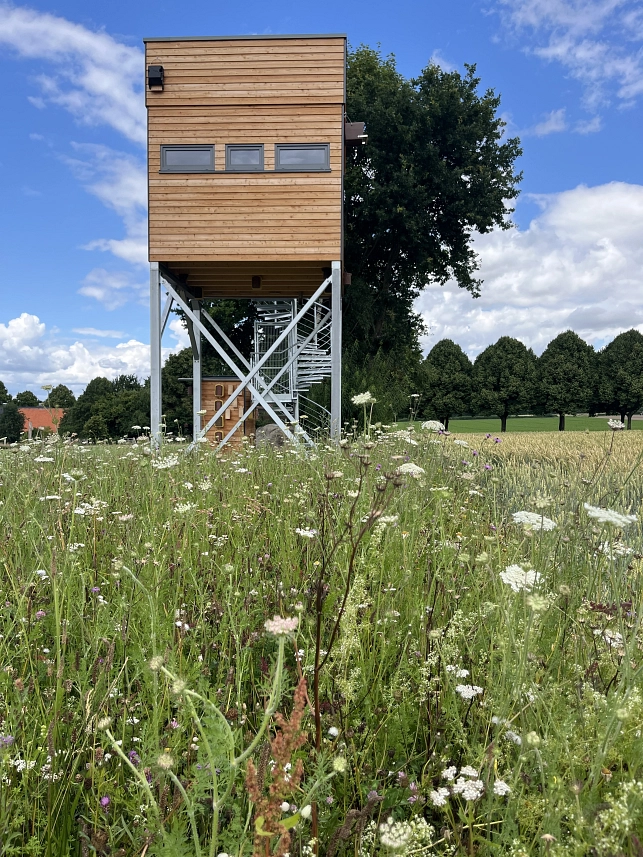 Meller Naturführungen, „Vielfalt vernetzt“ Ist weithin sichtbar: der Beobachtungsturm der Stiftung für Ornithologie und Naturschutz in Markendorf.